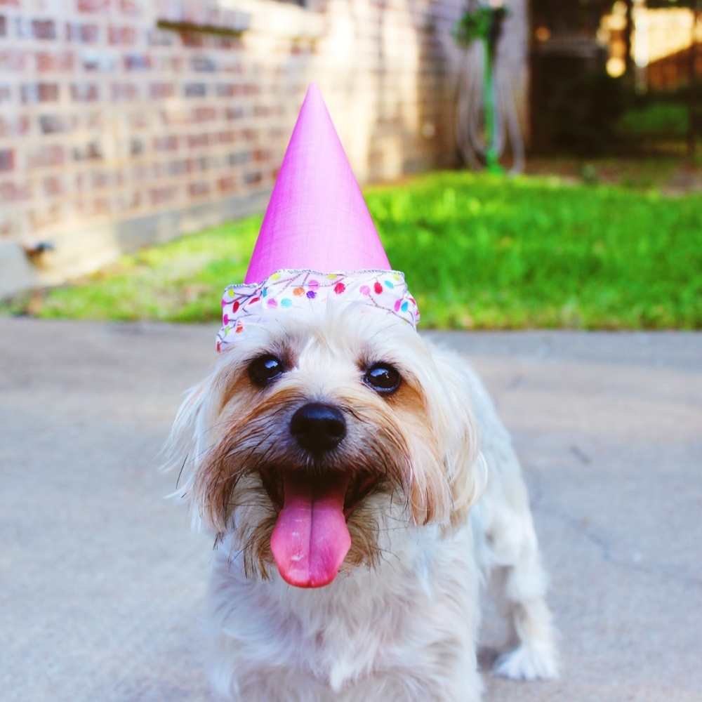 ✨🌈Scuba Dive into my closet!🌈✨